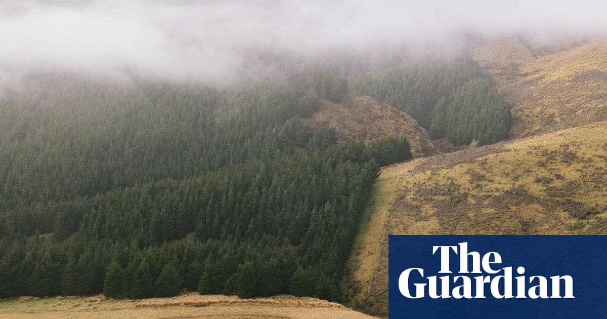 New Zealand government sued over dangerously inadequate' emissions reduction plan
