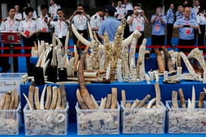 Confiscated ivory items and carvings in Beijing, China.