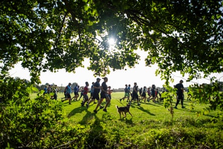 Group of runners run by the side of a large field, framed by trees.