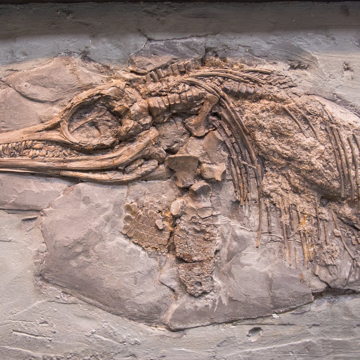 How Much Money Do Paleontologist Make How Much Money Do Paleontologist Make