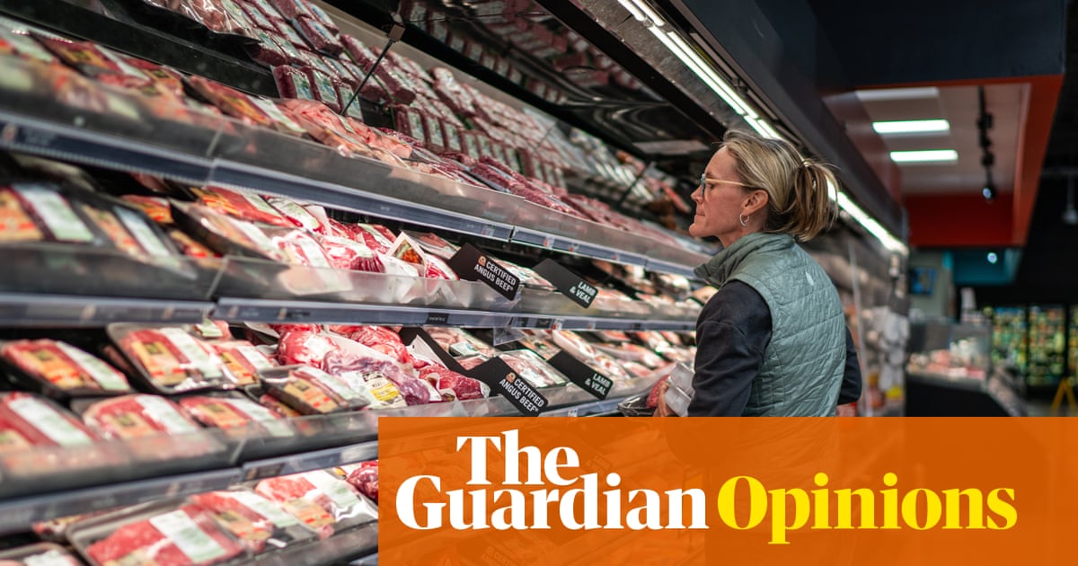 Trump vowed to reduce prices, but his policies have fueled US inflation | Steven Greenhouse