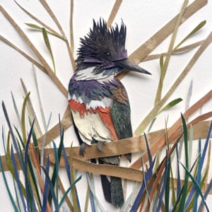 Kingfisher Keeping Watch bird paper artwork by Sarah Suplina