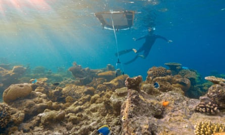A remotely operated vehicle releases coral larvae onto the damaged reef.