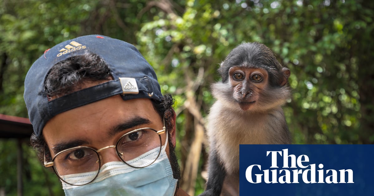 I consider him my first son': how living with a baby monkey taught me I'm ready to be a dad