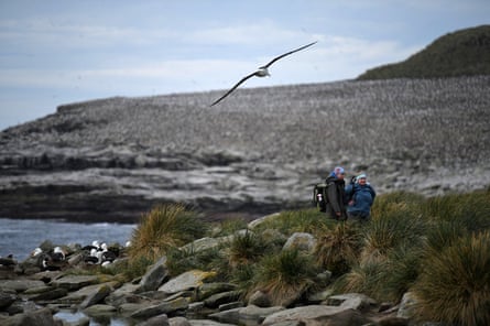 Jane Younger and Amandine Gamble at the black-browed albatross colony at Beauchene Island, November 2025.