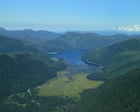 Trump rescinds protections on 59m acres of national forest to allow logging