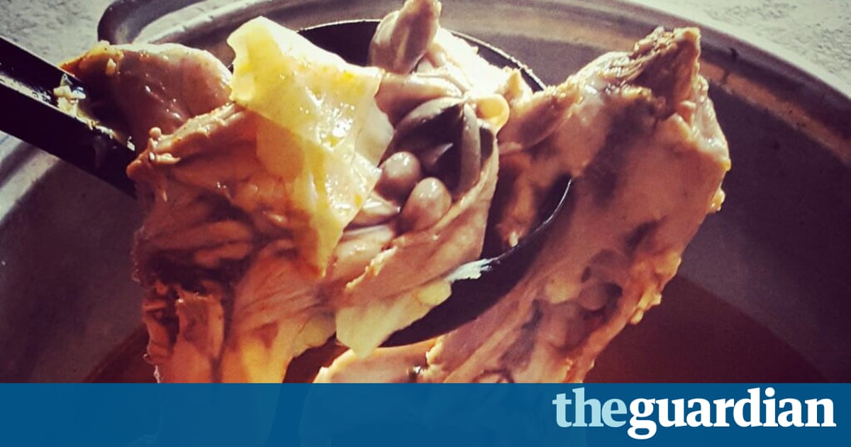Rat soup, anyone? Mexican politician bids to restore delicacy to the menu 2
