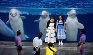 Visitors pose with belugas after a show in Chimelong Ocean Kingdom, Zhuhai, China