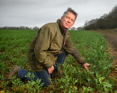 James Cox in a field of crops