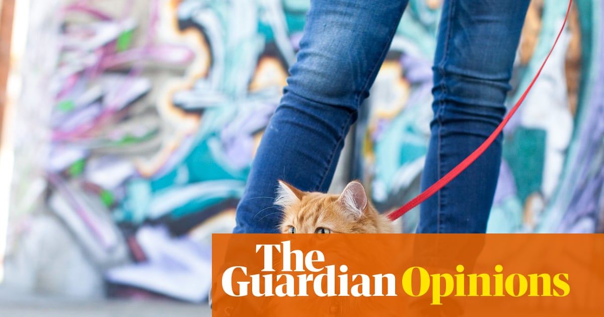 I bought my cat a lead – and I was quickly humbled