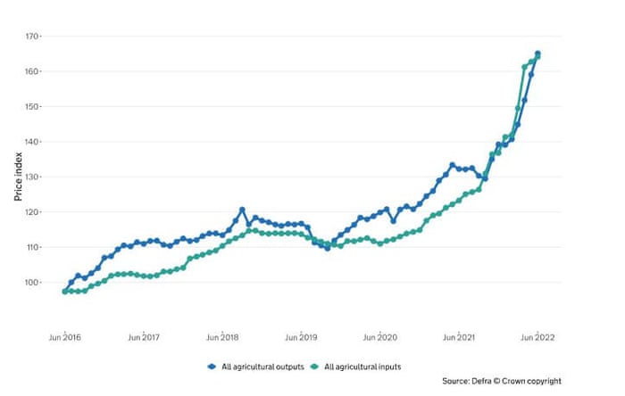 UK agricultural input and output costs