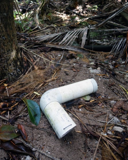 Poison bait intended for feral rats in a PVC container on Lord Howe Island