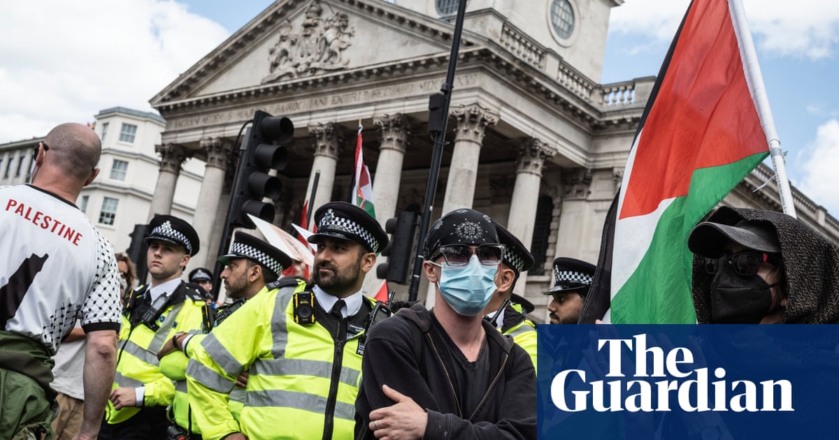 Ban on Palestine Action would have chilling effect' on other protest groups