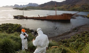 Scientists check the island for rodents