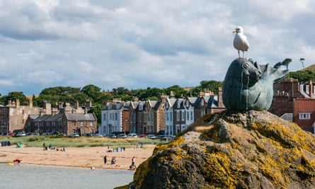 A herring gull on North Berwich beach, East Lothian.