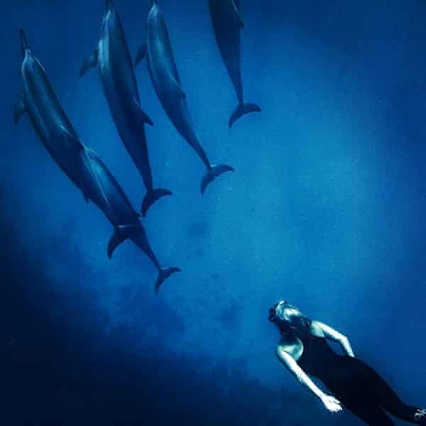 Did A Dolphin Sense My Feelings Of Grief Environment The Guardian