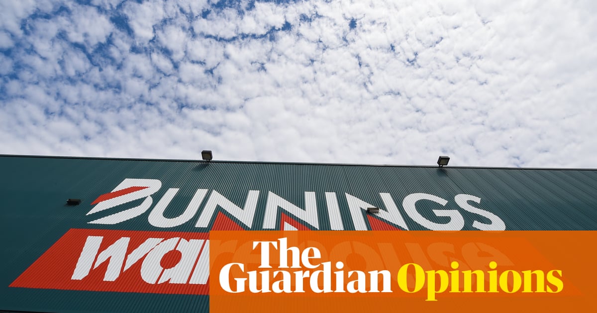 Watch Out Wickes And B Q Bunnings Is Coming For Your Diy