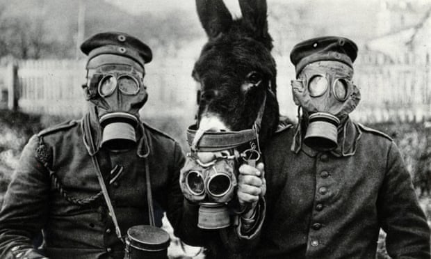 Soldiers and donkey in gas masks during first world war.