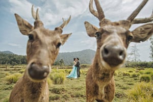 This couple photobomb a romantic deer selfie