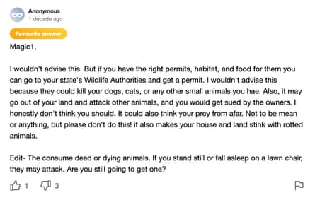 A screengrab answering a Yahoo! Answers page question: Can I keep a pet Vulture?