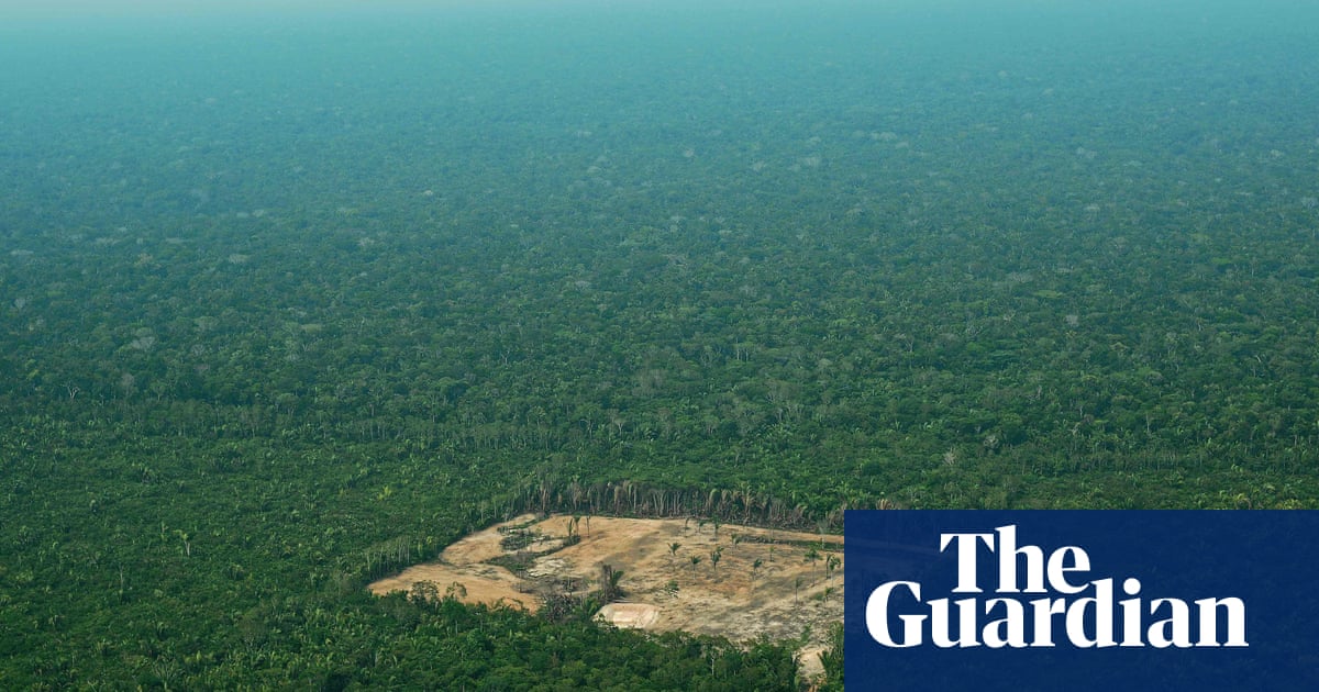 Humans need to value nature as well as profits to survive, UN report finds