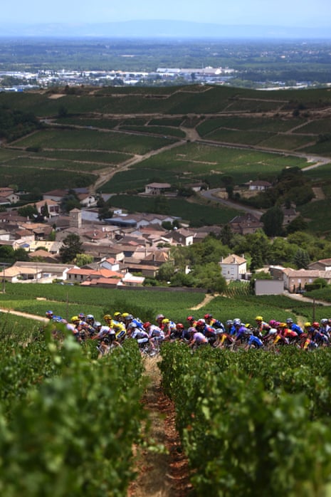 Professional cycling and vineyards go together like bikes and wine.