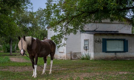 A horse is seen in a field in Quemado, Texas.