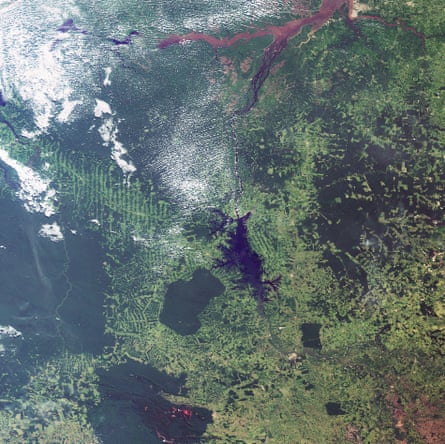 Satellite image of the eastern part of the Amazon Basin showing the contrast between the rainforest (dark green) and land cultivation (fishbone patterns). Agricultural areas once covered by rainforest are light green.