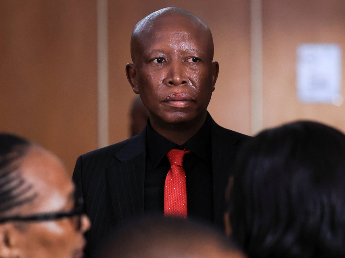 Malema (News Central TV)