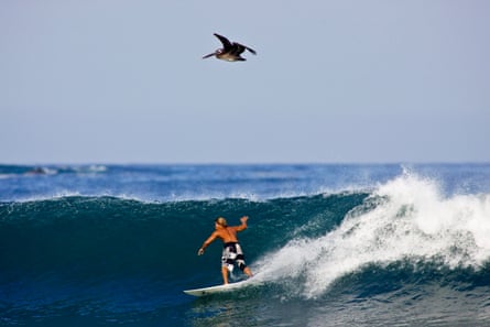 Sayulita Hippy Chic Mexico On The Pacific Coast Mexico Holidays The Guardian