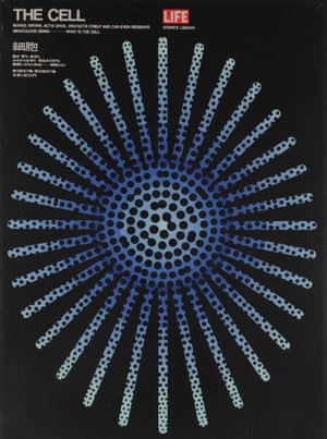 The Cell, 1966, Kazumasa NagaiNagai Kazumasa produced posters for the Japanese editions of the Life Science Library book series, originally published between 1963 and 1967 by Time Life. The 26 volumes were available by subscription from Life magazine and introduced natural-science topics to a broad audience. This poster promotes the 1966 Japanese edition of The Cell, written by John E Pfeiffer, and reflects Nagai’s interest in abstraction and psychedelic colors. 