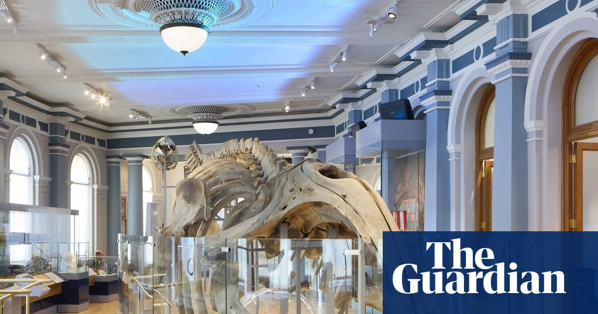 Thar she blows! Hull Maritime Museum resurfaces with a walk-in whale and a ‘monkey mermaid’