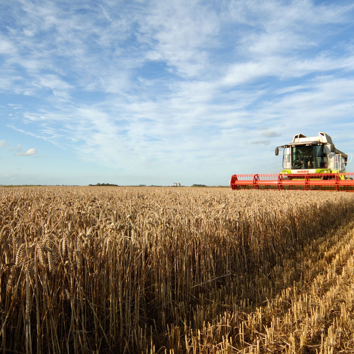 Extensive Argiculture Extensive Farming