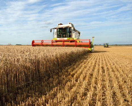 Intensive Farming And Harvest