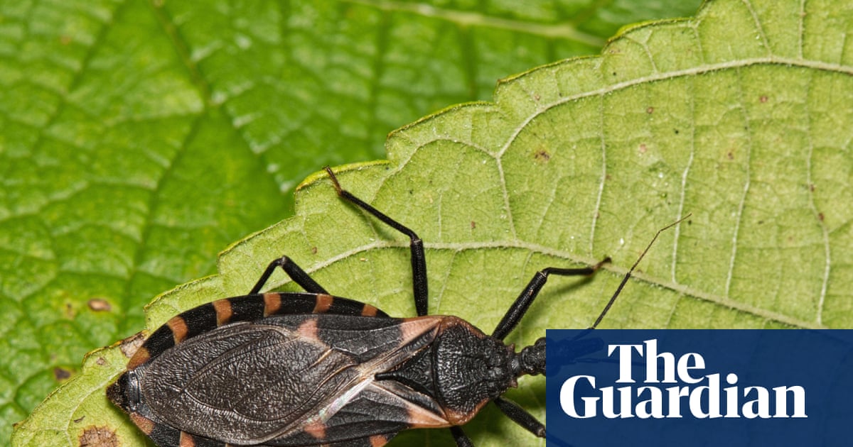 Chagas Disease in the US: A Call for Recognition and Action
