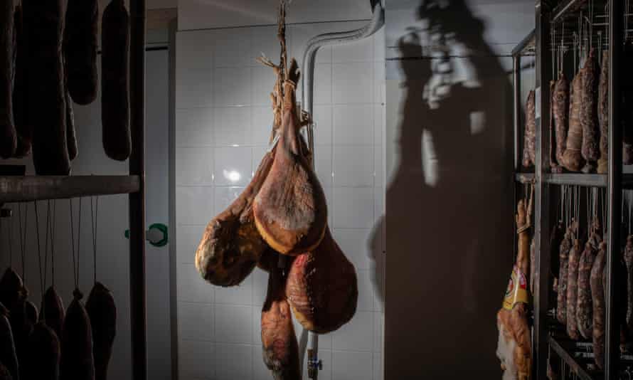 Hams curing