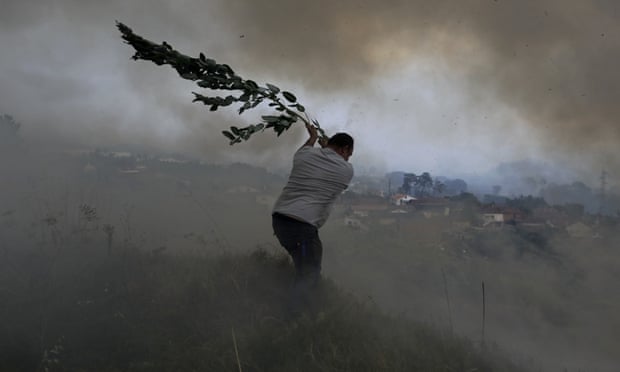 A volunteer uses a tree branch trying to prevent a forest fire from reaching houses in the village of Casal da Quinta, outside Leiria, central Portugal.