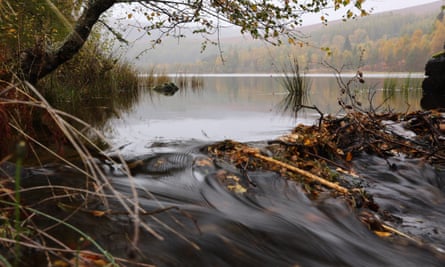 Mill Dam and Rotmell Loch