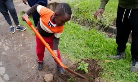 Tzuriel Kipngeno, five, plants a casaurina tree on the roadside in Nairobi, Kenya on Monday 13 November.