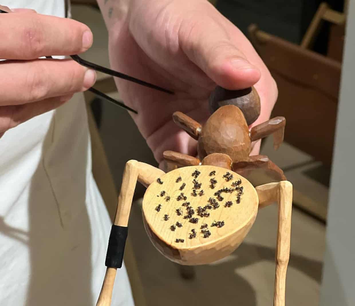 Heavy metals found in the ants