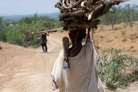 A boy carrying firewood near the town of Dalbo, southern Ethiopia.