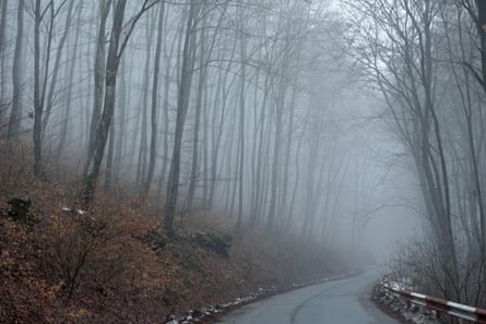 A bend in the road surrounded by tall forest trees with a misty background