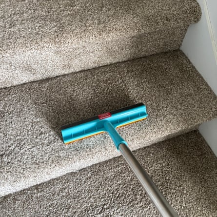 An Uproot Cleaner Xtra Hair Removal Tool for Cats and Dogs removing cat hair