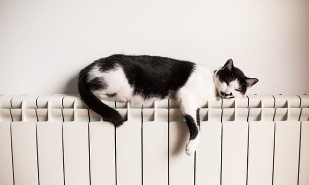 Black and white cat dozing on top of a radiator.