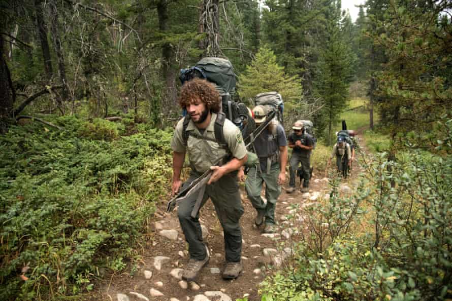 A forest service trail crew heads into the Lee Metcalf Wilderness Area in Montana.
