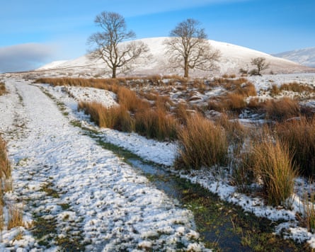 Snowy view of northern England landscape with a track, trees and a domed hill behind