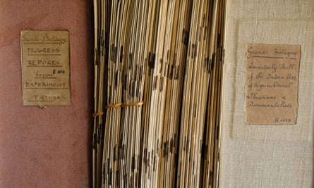 The library of notebooks at Inera’s headquarters in Yangambi, DRC.