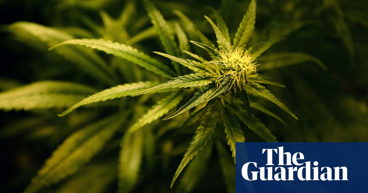 Legalise Cannabis rides high in Senate vote as grassroots campaign pays off