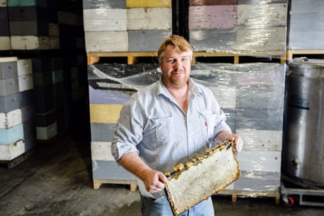 Man standing holding bee hive frame