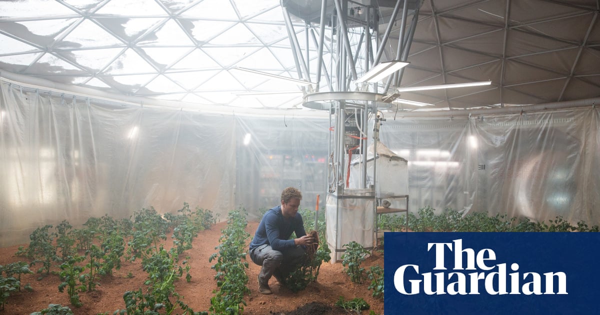 Naukowcy odkryli, że algi pustynne „mogą przetrwać na Marsie” |  Mars Naukowcy odkryli, że algi pustynne „mogą przetrwać na Marsie” |  Mars